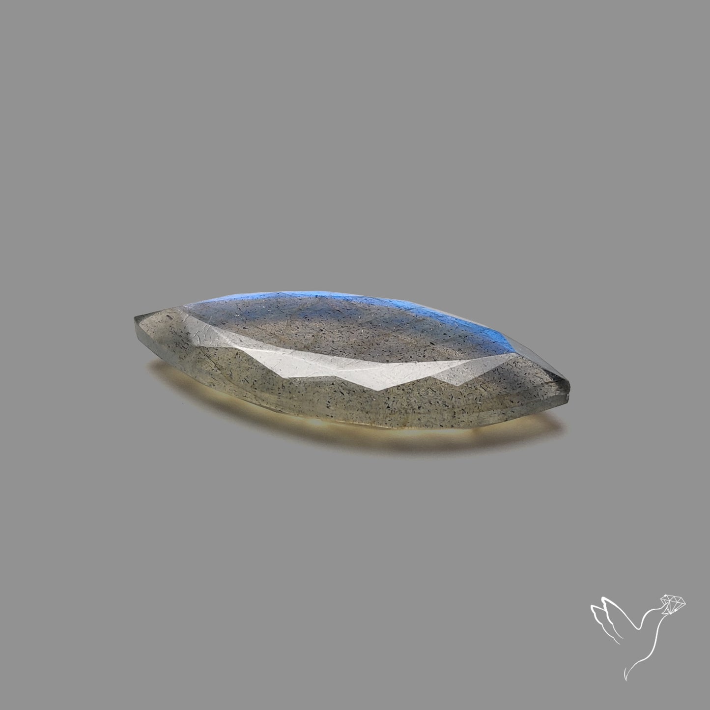 Portrait Cut Blue Labradorite