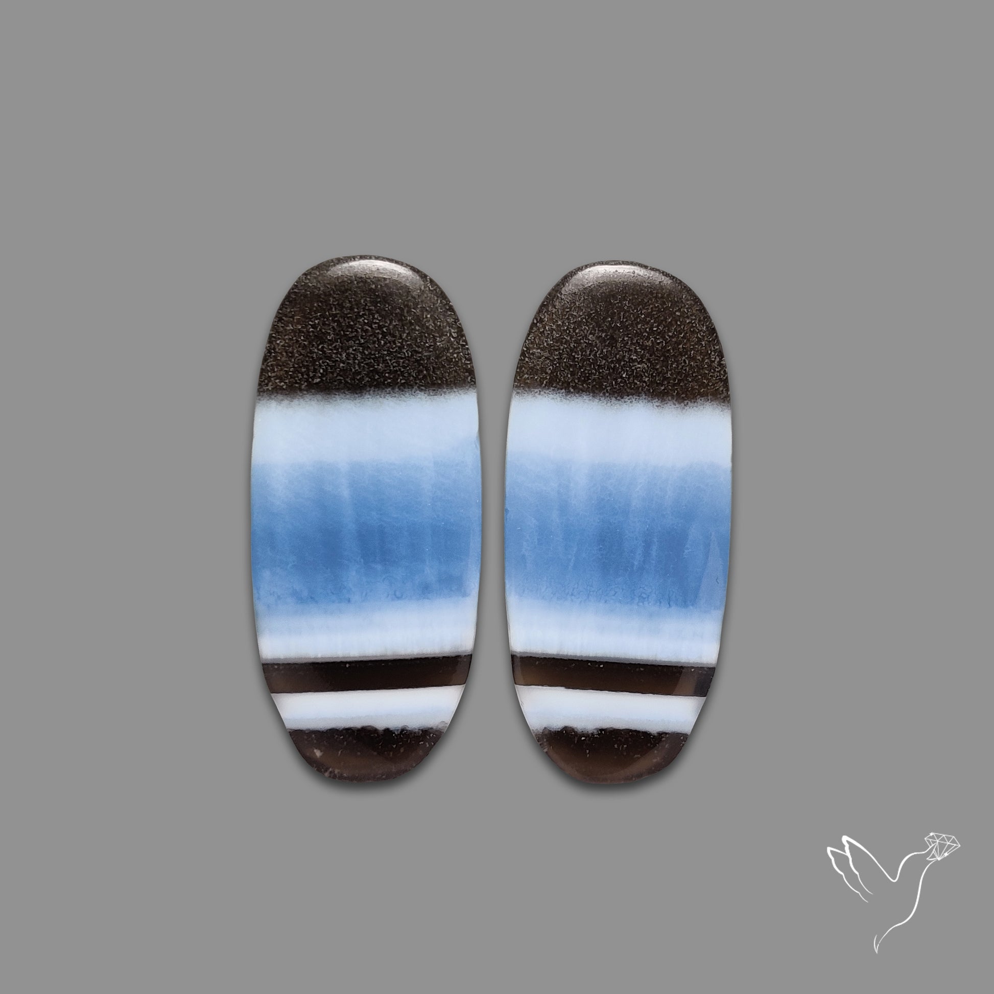Owyhee Blue Opals Pair