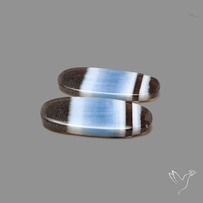 Owyhee Blue Opals Pair