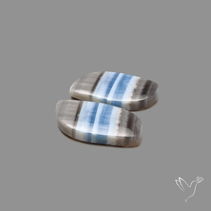 Owyhee Blue Opals Pair
