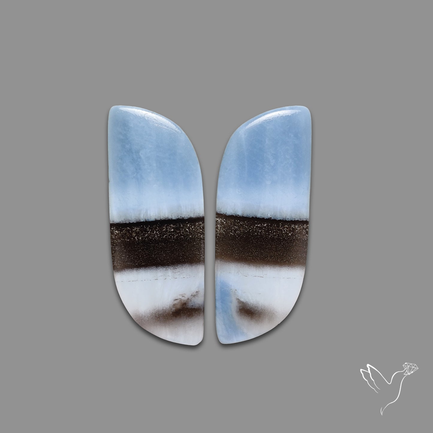 Owyhee Blue Opals Pair