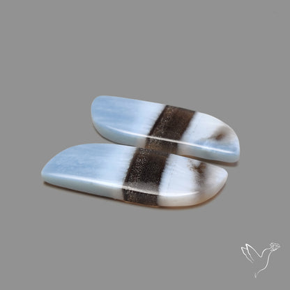 Owyhee Blue Opals Pair