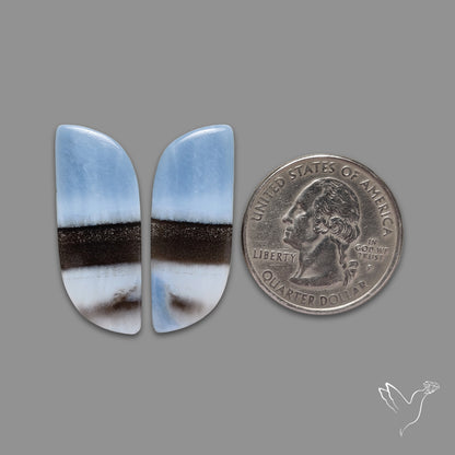 Owyhee Blue Opals Pair