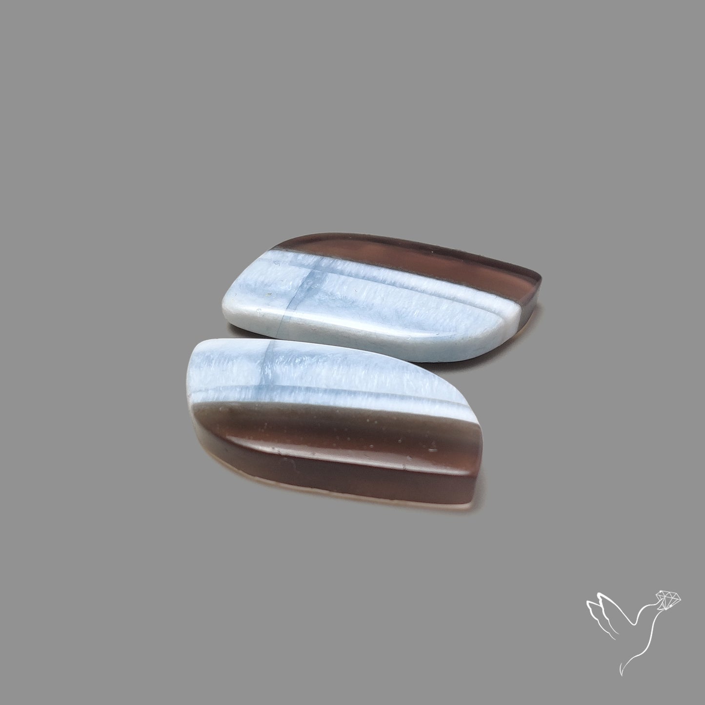 Owyhee Blue Opals Pair