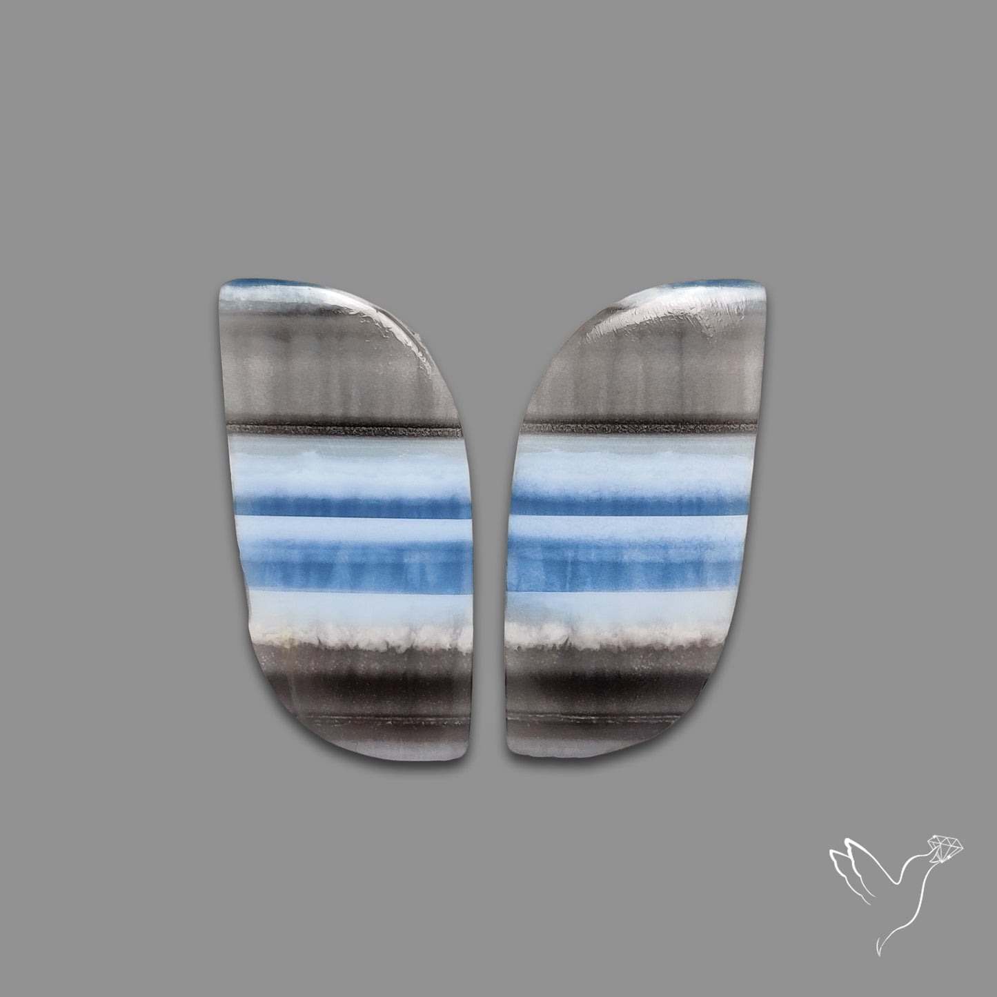 Owyhee Blue Opals Pair