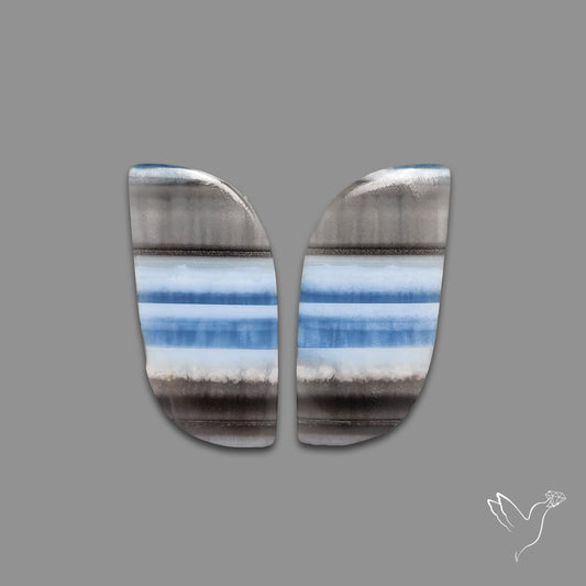 Owyhee Blue Opals Pair