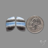 Owyhee Blue Opals Pair