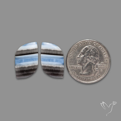 Owyhee Blue Opals Pair