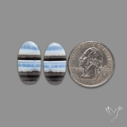 Owyhee Blue Opals Pair