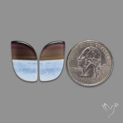 Owyhee Blue Opals Pair