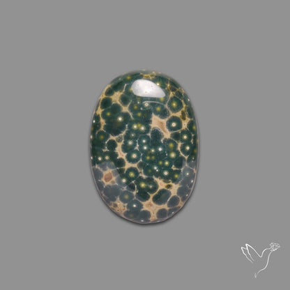 Orbicular Ocean Jasper Cabochon