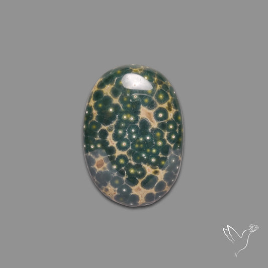 Orbicular Ocean Jasper Cabochon