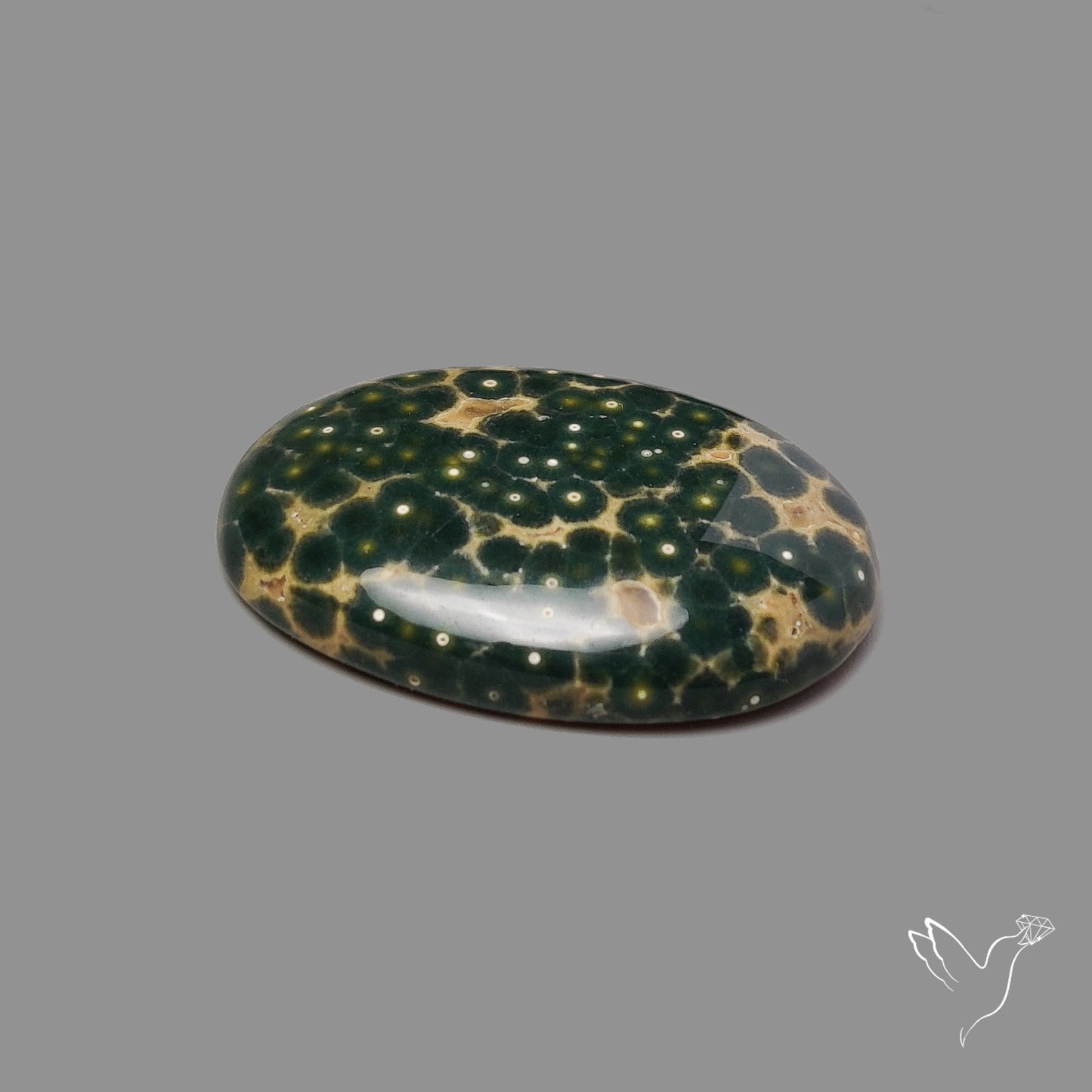 Orbicular Ocean Jasper Cabochon