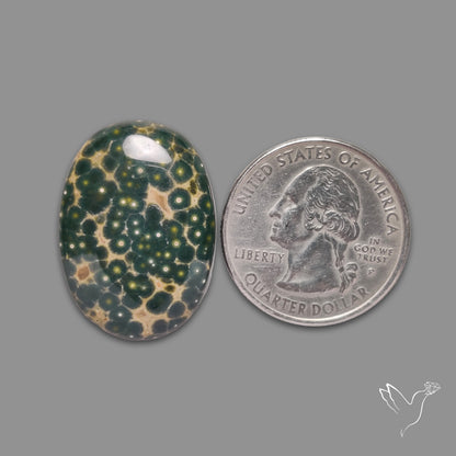 Orbicular Ocean Jasper Cabochon