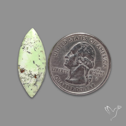 Citrone Chrysoprase Cabochon