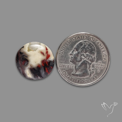 Snakeskin Jasper Cabochon
