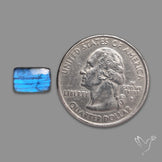 Blue Labradorite Cabochon Small