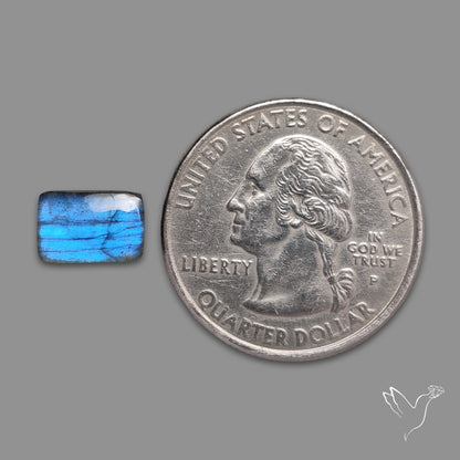 Blue Labradorite Cabochon Small