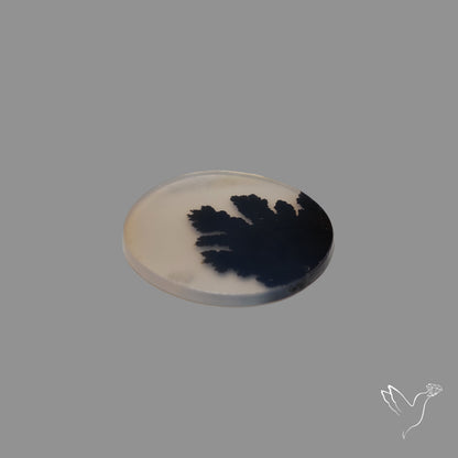 Scenic Agate Cabochon