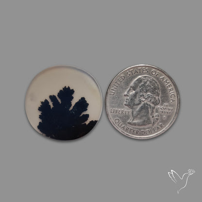 Scenic Agate Cabochon