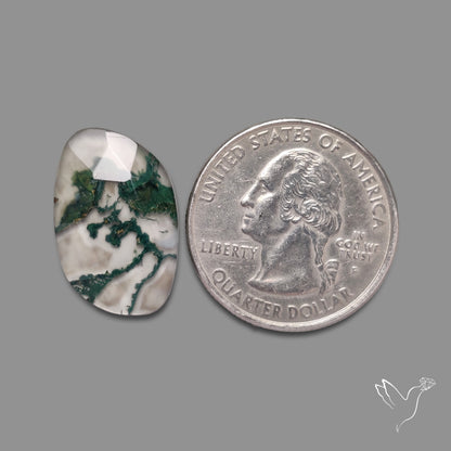 Rose Cut Moss Agate