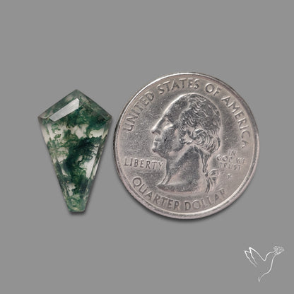Step Cut Moss Agate