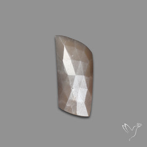 Rose Cut Grey Moonstone