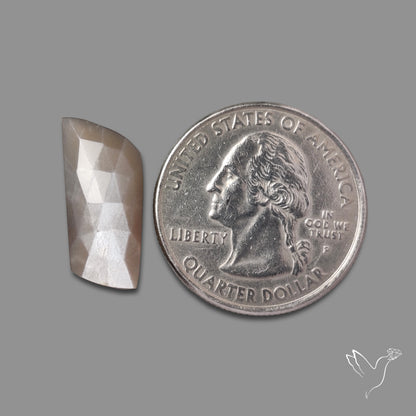 Rose Cut Grey Moonstone