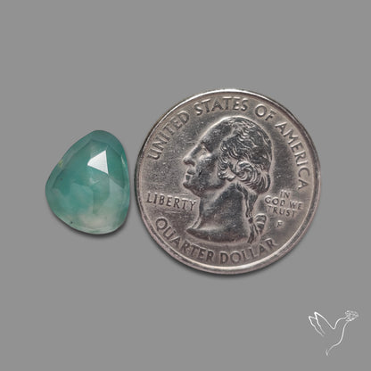 Rose Cut Aqua Chrysoprase