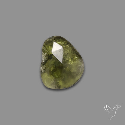 Rose Cut Moldavite (Raw Back)