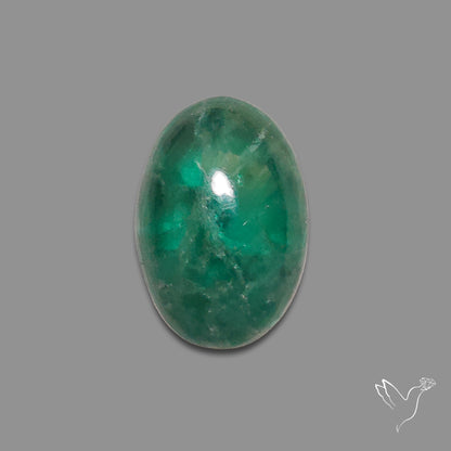 Deep Green Belgian Teal Fluorite Cabochon High Domed