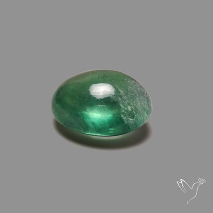 Deep Green Belgian Teal Fluorite Cabochon High Domed