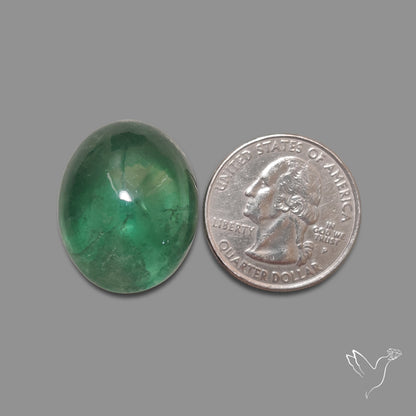 Deep Green Belgian Teal Fluorite Cabochon High Domed