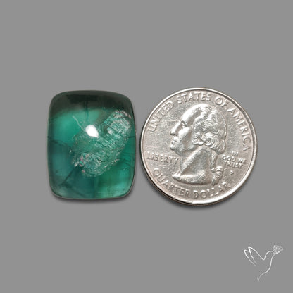 Deep Green Belgian Teal Fluorite Cabochon High Domed