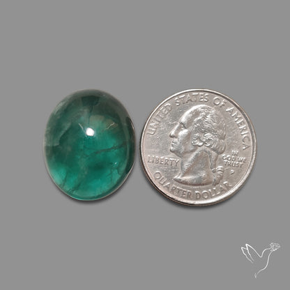 Deep Green Belgian Teal Fluorite Cabochon High Domed