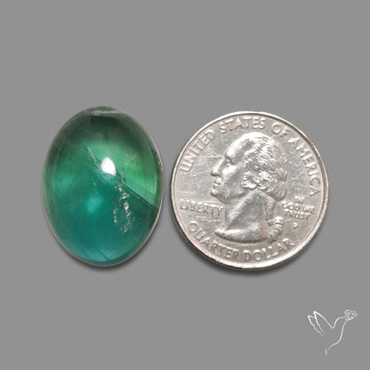 Deep Green Belgian Teal Fluorite Cabochon High Domed