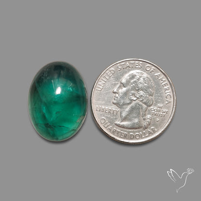 Deep Green Belgian Teal Fluorite Cabochon High Domed