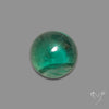 Deep Green Belgian Teal Fluorite Cabochon High Domed