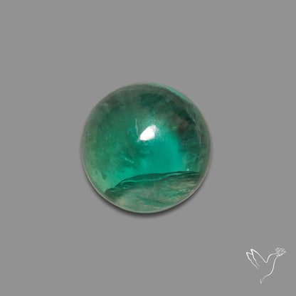 Deep Green Belgian Teal Fluorite Cabochon High Domed