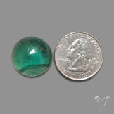 Deep Green Belgian Teal Fluorite Cabochon High Domed