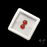 Rose Cut Hessonite Garnets Pair