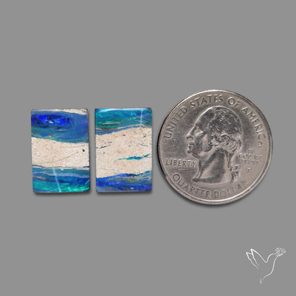 Rare Australian Pipe Opals Pair Crystal Pipe Opal (backed)