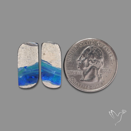 Rare Australian Pipe Opals Pair Crystal Pipe Opal (backed)