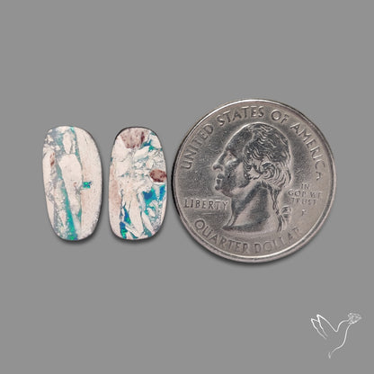 Rare Australian Pipe Opals Pair Crystal Pipe Opal (backed)