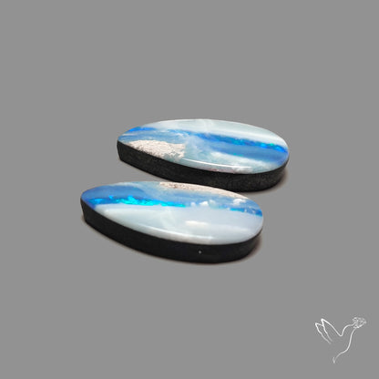 Rare Australian Pipe Opals Pair Crystal Pipe Opal (backed)