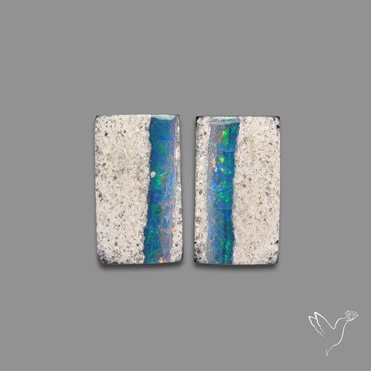 Rare Australian Pipe Opals Pair Crystal Pipe Opal (backed)