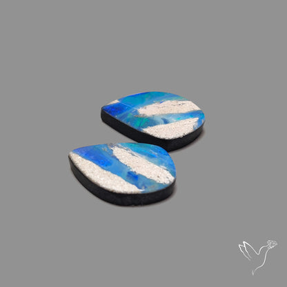Rare Australian Pipe Opals Pair Crystal Pipe Opal (backed)
