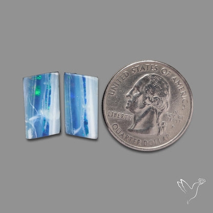Rare Australian Pipe Opals Pair Crystal Pipe Opal (backed)