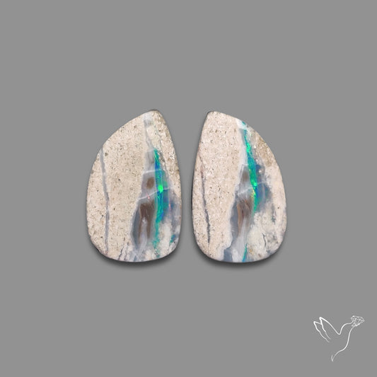 Rare Australian Pipe Opals Pair Crystal Pipe Opal (backed)