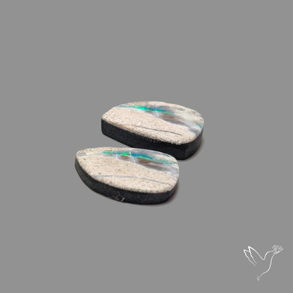 Rare Australian Pipe Opals Pair Crystal Pipe Opal (backed)